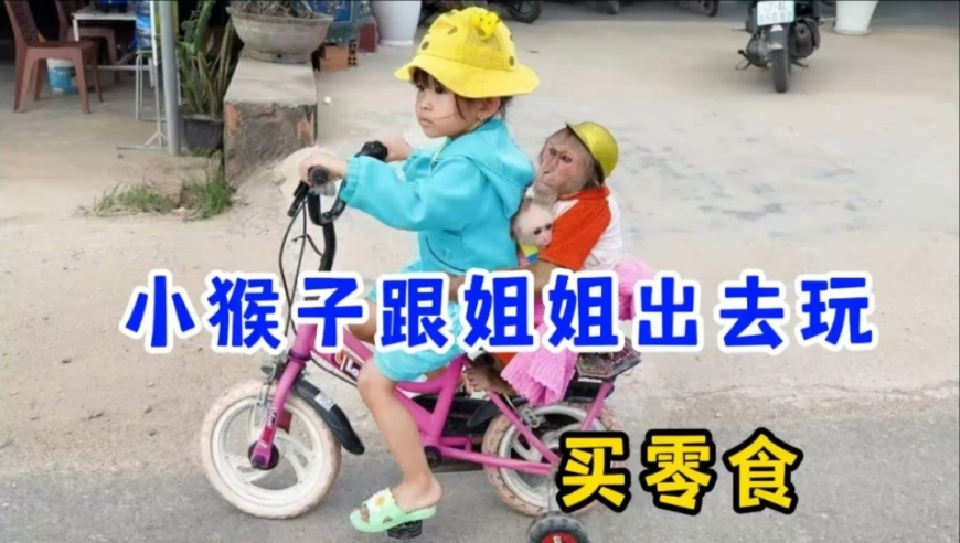 靠腰嘞DJ版太上头了,管家婆资料大全免费,收益成语分析落实_基础版V12.7