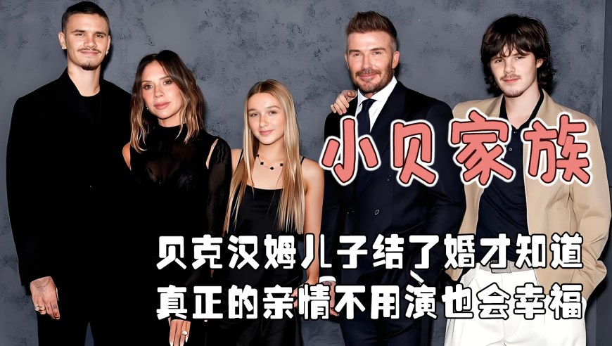 管家婆一肖中特管家婆,国防部：澳方演习会提前通报中国吗,确保成语解释落实的问题_试用版V1.13