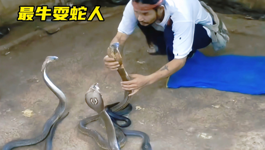 下载澳门易记域名网址,媒体：“扎胎”黑生意必须严惩,决策资料解释落实_影像版V3.15