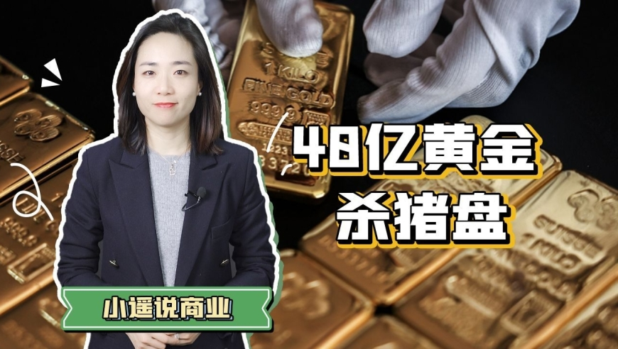2025正版资料全年免费公开v,鹅绒雪把纯欲搞成纯爱,机构预测与落实方法揭秘_精简版V12.20