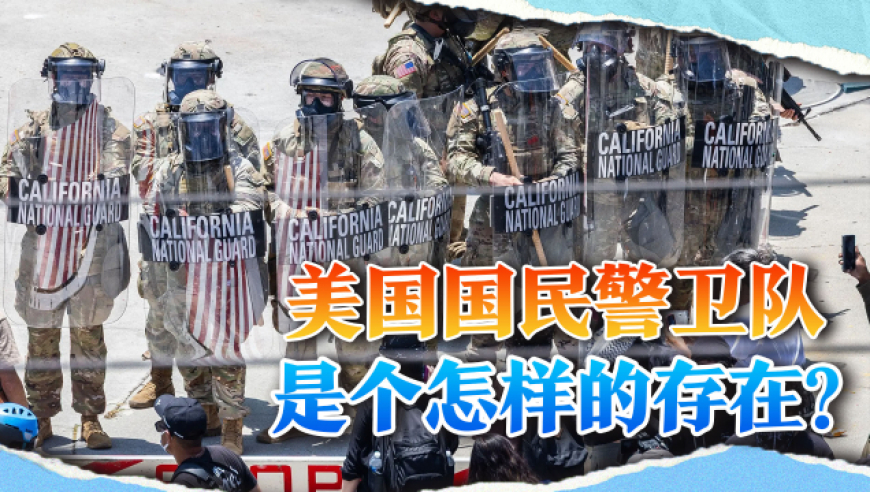 新澳门开奖结果2025开奖直播视频,第三场“委员通道”,动态词语解释落实_手游版V11.52